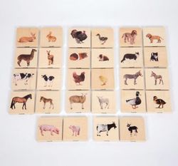 Memo realista las parejas animales domésticos