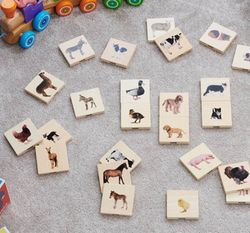 Memo realista las parejas animales domésticos