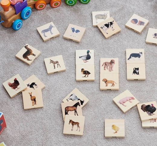 Memo realista las parejas animales domésticos