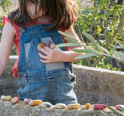 Mini mundo los insectos