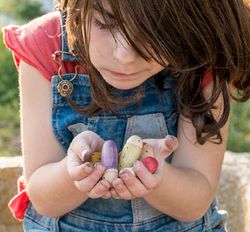 Mini mundo los insectos