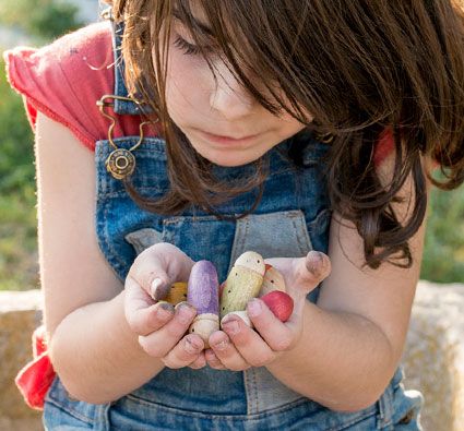 Mini mundo los insectos