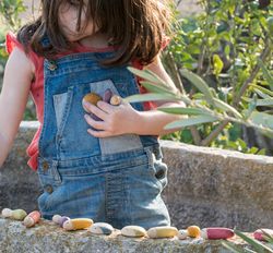 Mini mundo los insectos