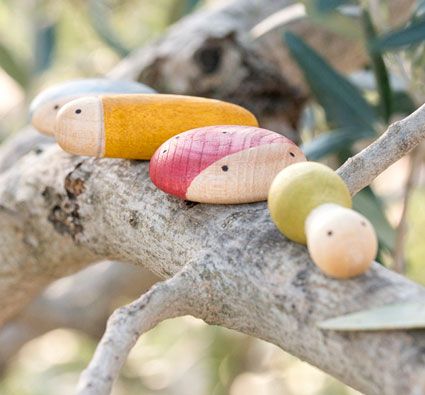 Mini mundo los insectos