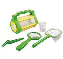 Set observa insectos