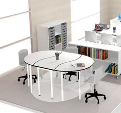 Silla nordic regulable con ruedas 45/60 pp