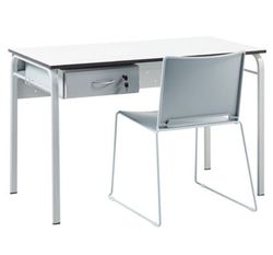 Silla york Adulto